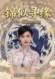 《锦似寻缘》小说封面