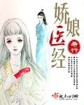 《倾宸》小说封面