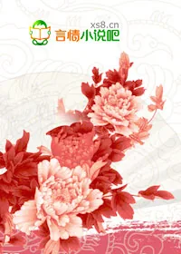 《偷龙换凤  倾世之恋》小说封面