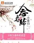 《念春归》小说封面
