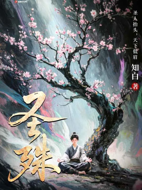 《圣殊》小说封面