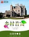 《乡村首富》小说封面
