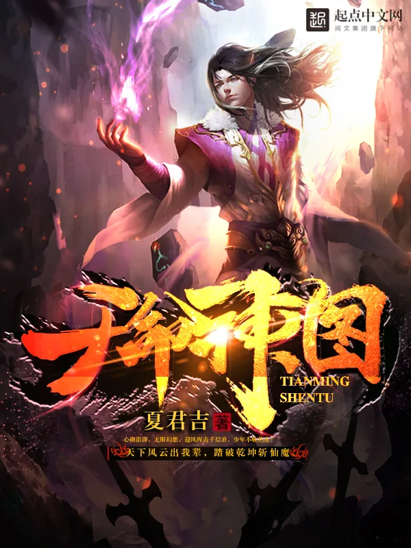 《天命神图》小说封面