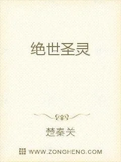 《绝世圣灵》小说封面