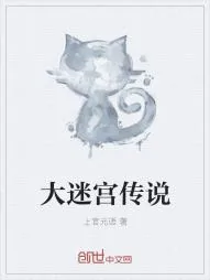 《大迷宫传说》小说封面