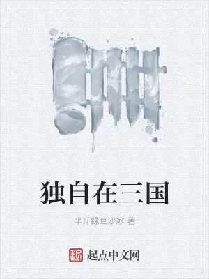 《独自在三国》小说封面