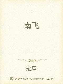 《南飞》小说封面