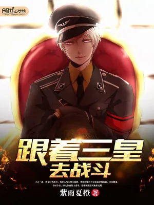 《跟着三皇去战斗》小说封面