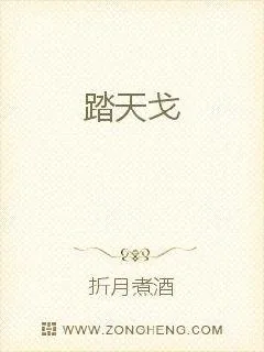 《踏天戈》小说封面
