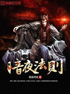 《暗夜法则》小说封面