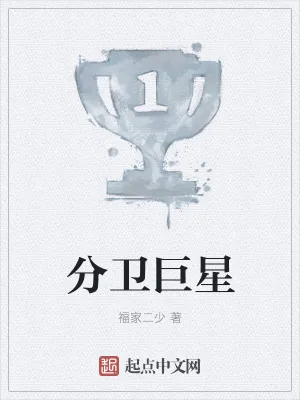 《分卫巨星》小说封面