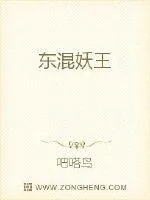 《东混妖王》小说封面
