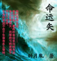 《命运矢》小说封面