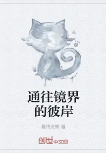 《通往镜界的彼岸》小说封面