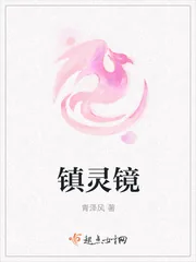 《镇灵镜》小说封面