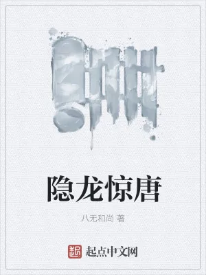《隐龙惊唐》小说封面