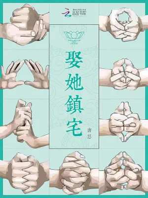 《娶她镇宅》小说封面