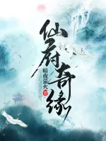 《仙府奇缘》小说封面