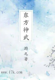 《东方神武》小说封面