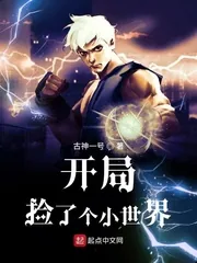 《开局捡了个小世界》小说封面
