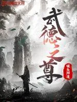 《武德之尊》小说封面