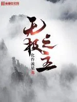 《无极之主》小说封面