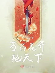 《芍药花开艳天下》小说封面