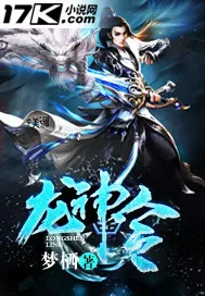 《龙神令》小说封面