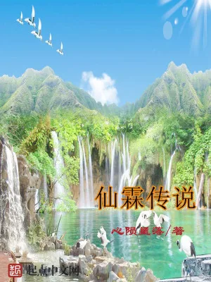 《仙霖传说》小说封面