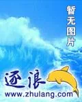 《黑羽残魂》小说封面