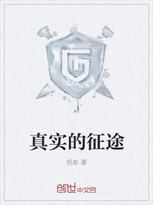 《真实的征途》小说封面