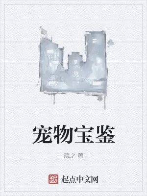 《宠物宝鉴》小说封面