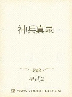 《神兵真录》小说封面