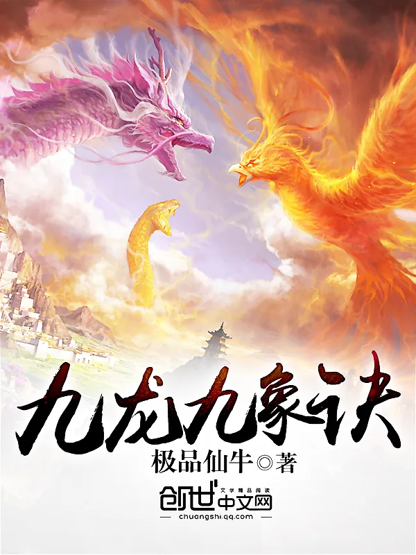 《九龙九象诀》小说封面