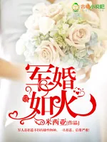 《军婚如火》小说封面