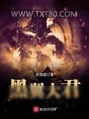 《黑翼大君》小说封面