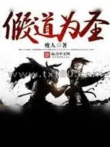 《假道为圣》小说封面