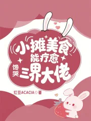 《小摊美食能疗愈，馋哭三界大佬》小说封面