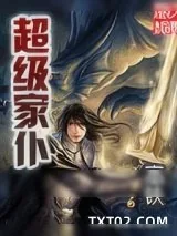 《超级家仆》小说封面