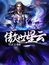 《傲世星云》小说封面