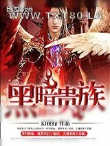 《黑暗贵族》小说封面