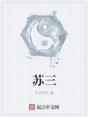 《苏三》小说封面