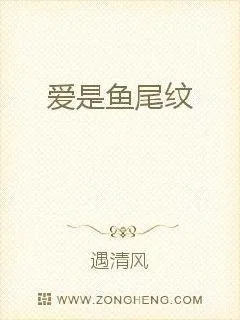 《爱是鱼尾纹》小说封面