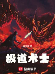 《极道术士》小说封面
