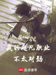 《我的超凡职业不太对劲》小说封面