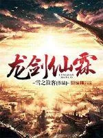 《龙剑仙霖》小说封面