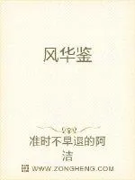 《风华鉴》小说封面