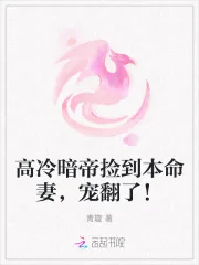 《高冷暗帝捡到本命妻，宠翻了！》小说封面