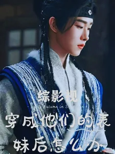 《综影视：穿成他们表妹后怎么办》小说封面