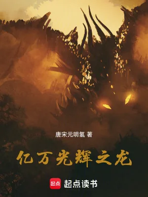 《亿万光辉之龙》小说封面